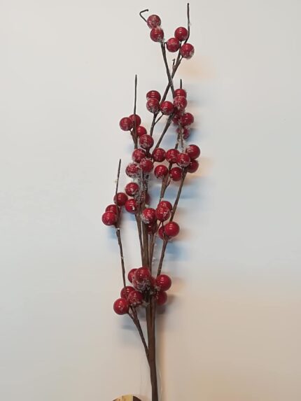ramo con bacche decorazione natale